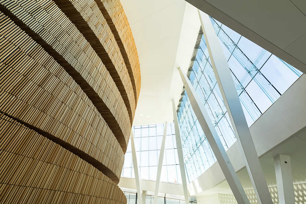 Cybersecurity untuk Bisnis Digital: Strategi Perlindungan Data di Era Cloud Computing